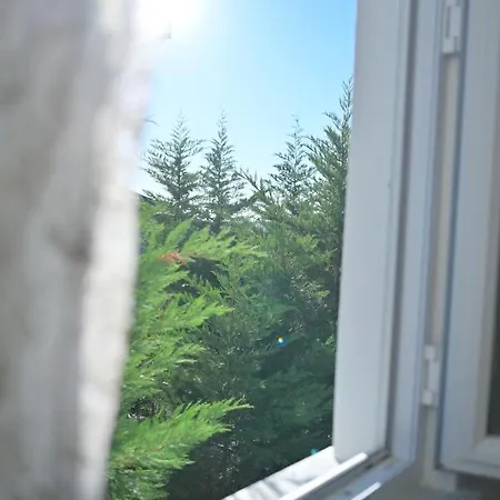 Havalimanina yakın orman içinde villa 3 *