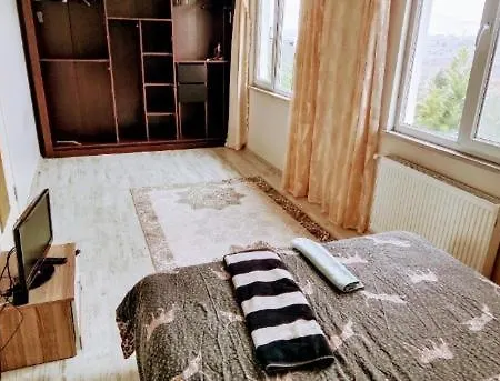 Havalimanina yakın orman içinde villa 3 * Tasoluk