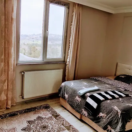 Havalimanina yakın orman içinde villa 3