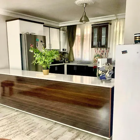 Villa Havalimanina yakın orman içinde villa 3