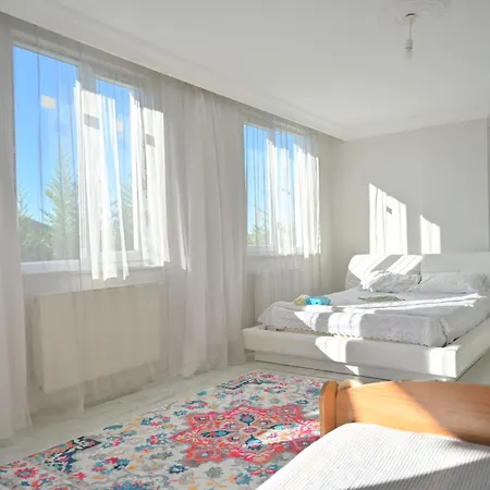 Villa Havalimanina yakın orman içinde villa 3 *