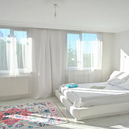 Villa Havalimanina yakın orman içinde villa 3 *