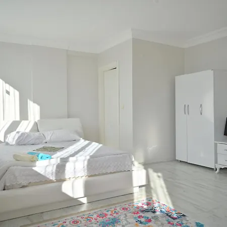 Havalimanina yakın orman içinde villa 3 *