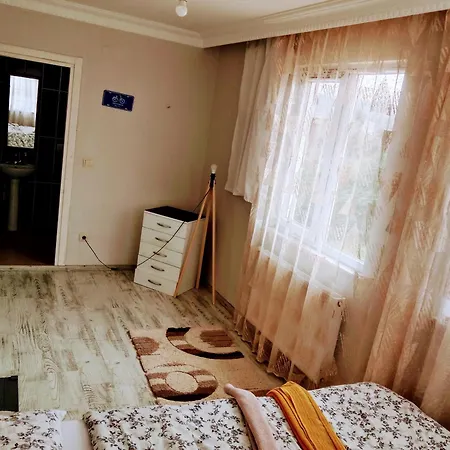 Havalimanina yakın orman içinde villa 3 Villa