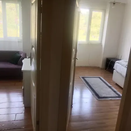 Forest Villa, 6 Minutes From The Airport