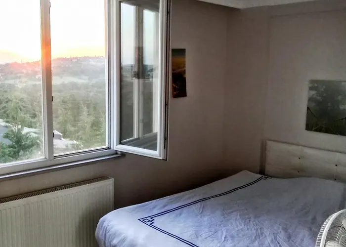 Forest Villa, 6 Minutes From The Airport Villa