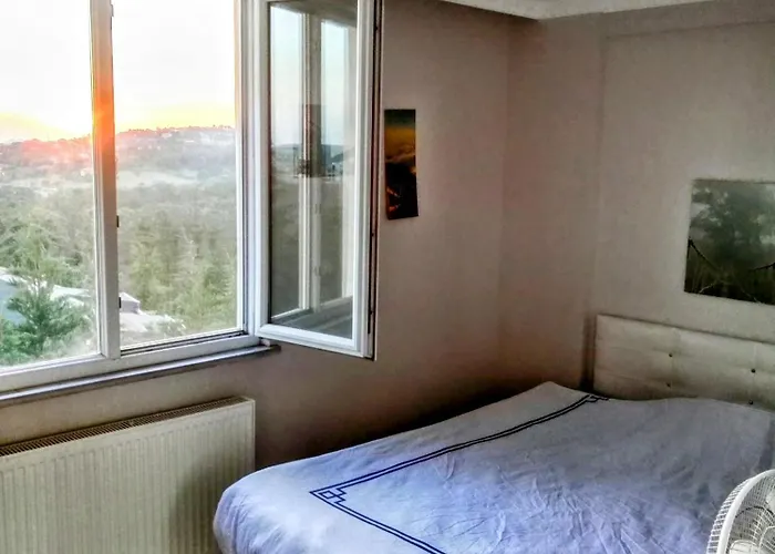 Forest Villa, 6 Minutes From The Airport Villa *