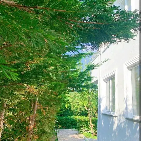 The Villa Closest To The Airport Vila